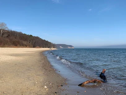 Plaża Kolibki