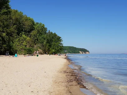 Psia Plaża