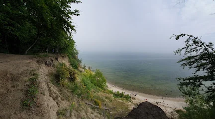 Rezerwat Kępa Redłowska
