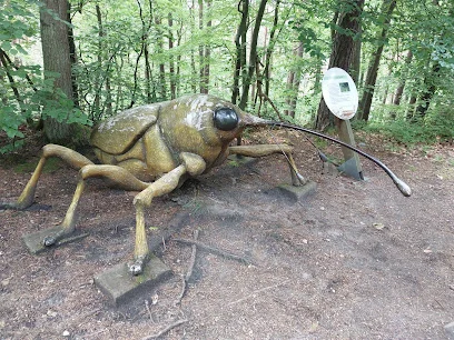 Szlak Alicji