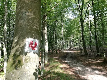 Szlak Wiewiórki